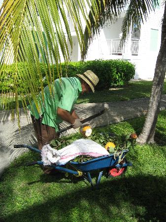a-gardener-preparing.jpg