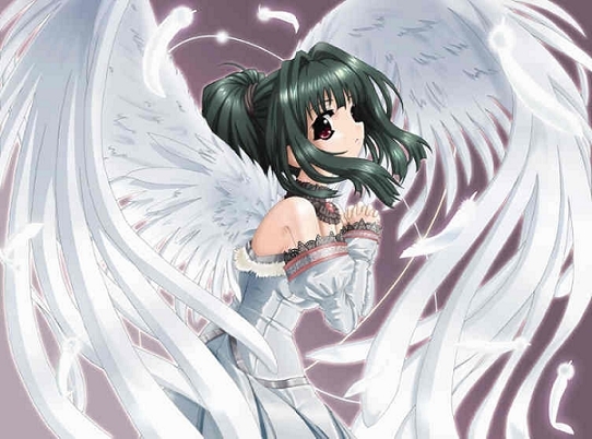 anime_angel[1].jpg
