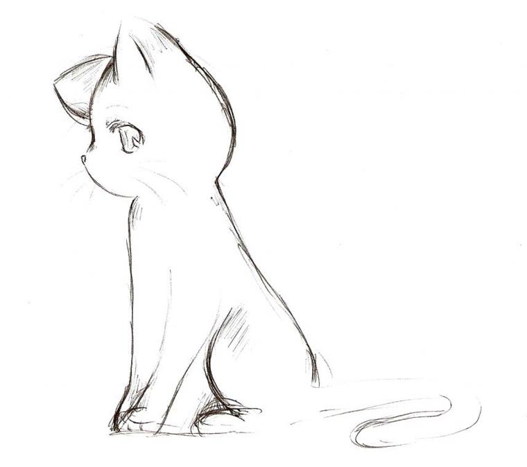 Anime_Cat_Sketch_by_Nyra992.jpg