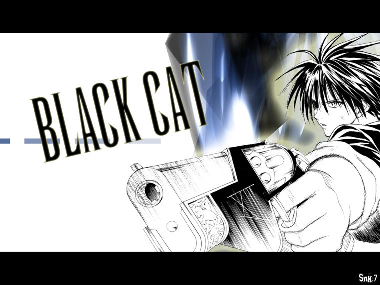 Black_Cat2.jpg