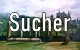 Sucher - Slytherin