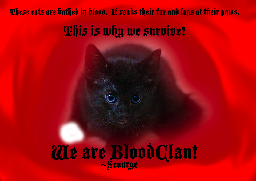 Scourge_by_cats_of_all_clans.png