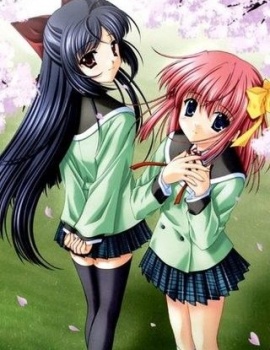 Zwei Anime Girls als Neko's