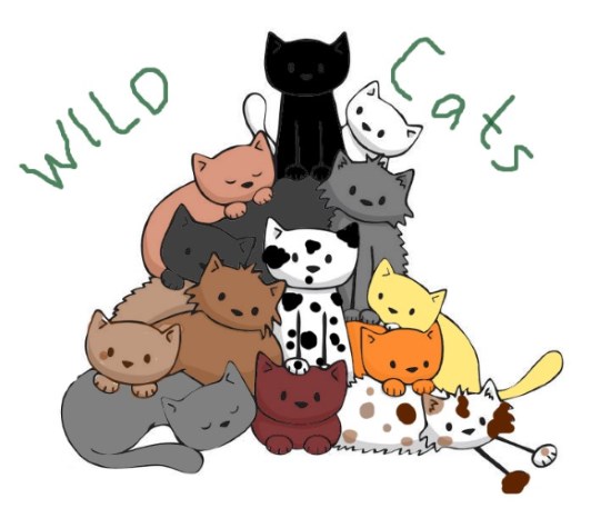 Thewildcats_baaaaambaaaaaam2.jpg