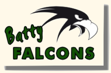 3_logo batty falcons.gif