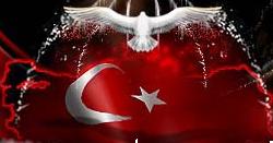 Türkiye Bayraki .jpg