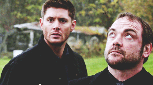 Crowley and bees
