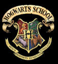Hogwarts Schüler