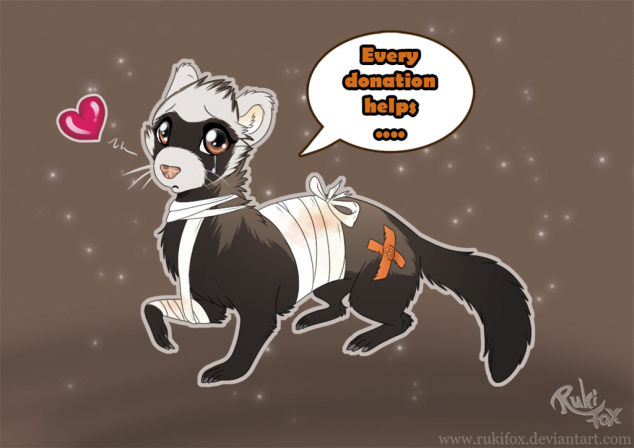 ferrets_needs_help_by_rukifox-d8lnbs7.png