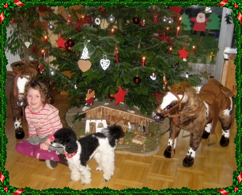 Weihnachten bei meiner Tochter mit Tapsi und Mia