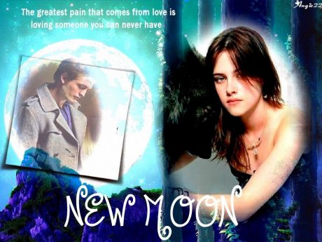 New-Moon-twilight-couples-4328879-1024-768.jpg
