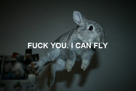 fuck-you-i-can-fly.jpg