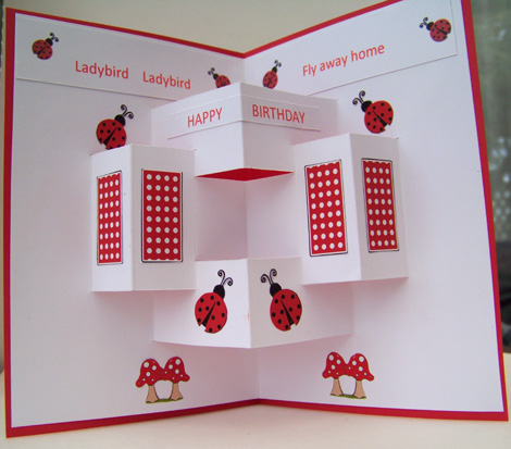 Ladybird inside pop out card.jpg