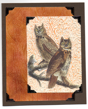 Wax resist back ground with owls1.jpg