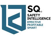 Safety Intelligence Institute
