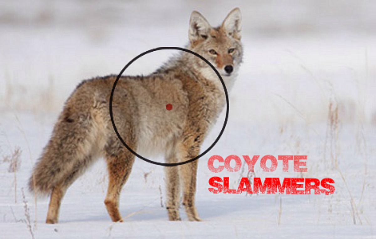 CoyoteSlammers