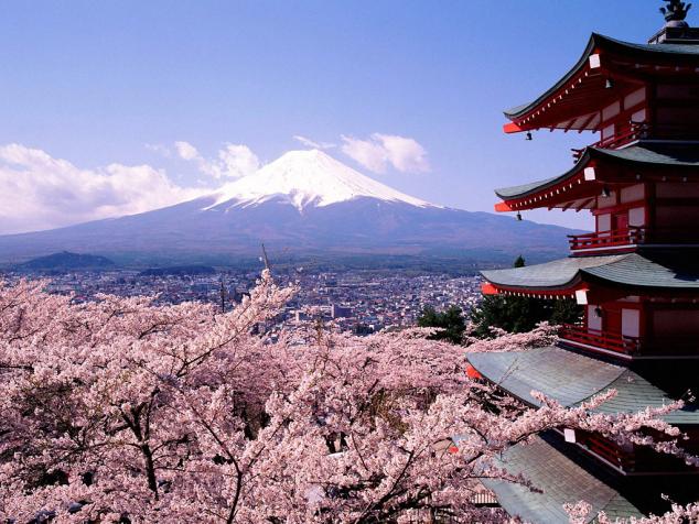Cherry_Blossoms_And_Mount_Fuji%2C_Japan.jpg