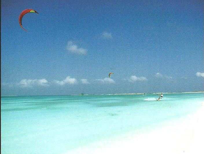 Kite Surf ARI 001.jpg
