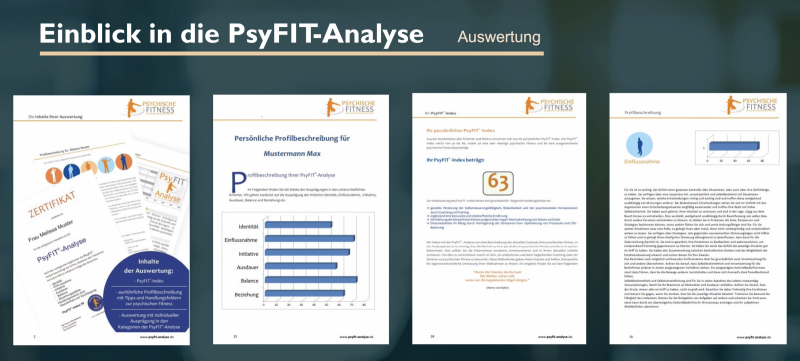 PsyFIT-Analyse.png