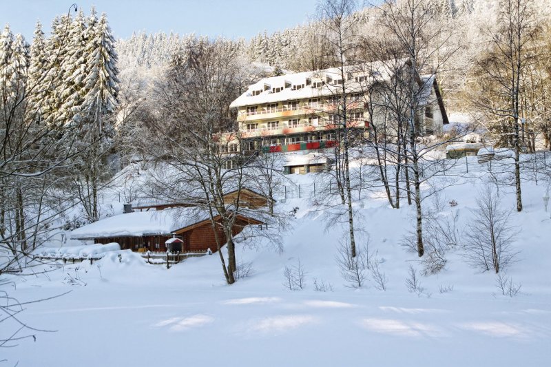 Willingen-Hotel-Waldhaus-Aussenansicht-Winter.jpg
