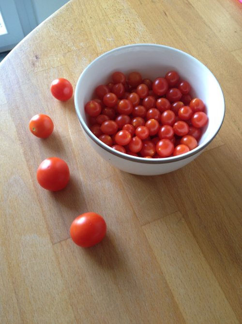 tomaten1.jpg