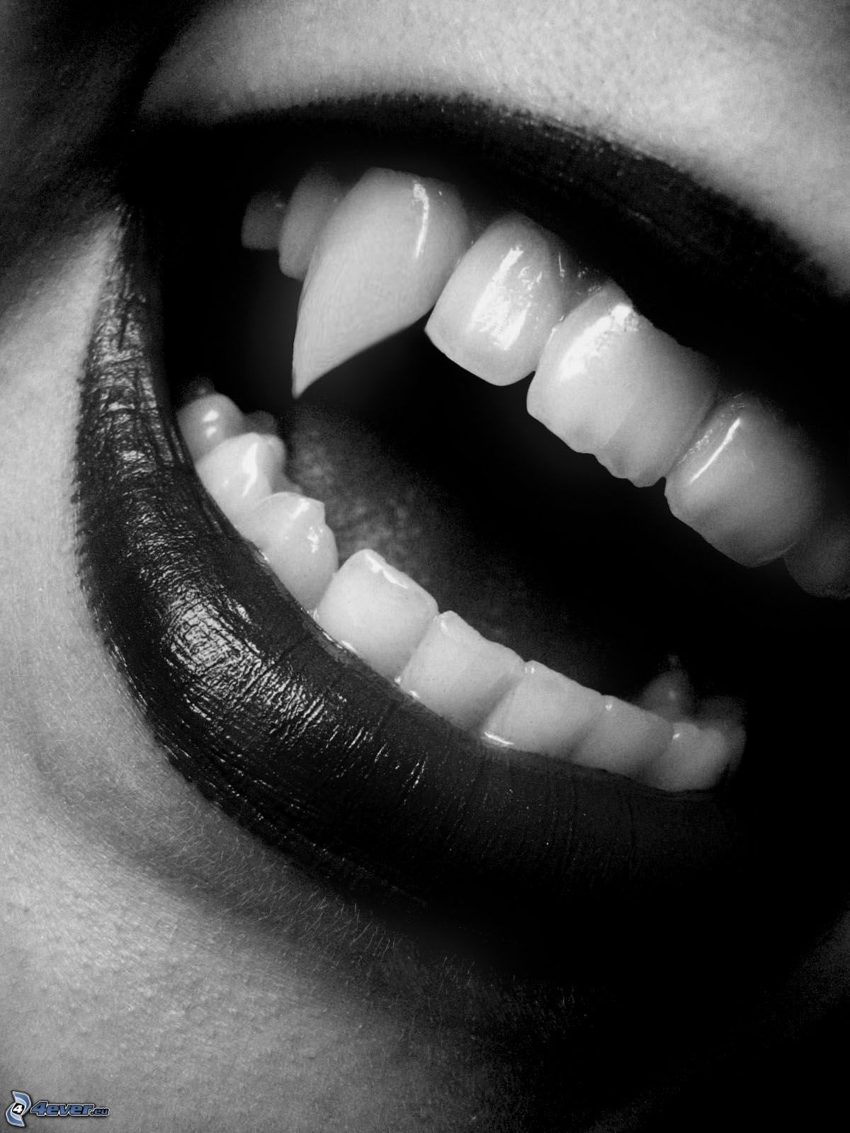 vampire-mouth-teeth-152537.jpg