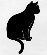 schwarze-Katze.jpg