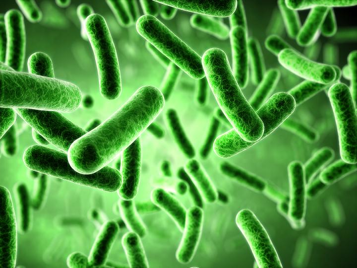 food-poisoning-bacteria.jpg