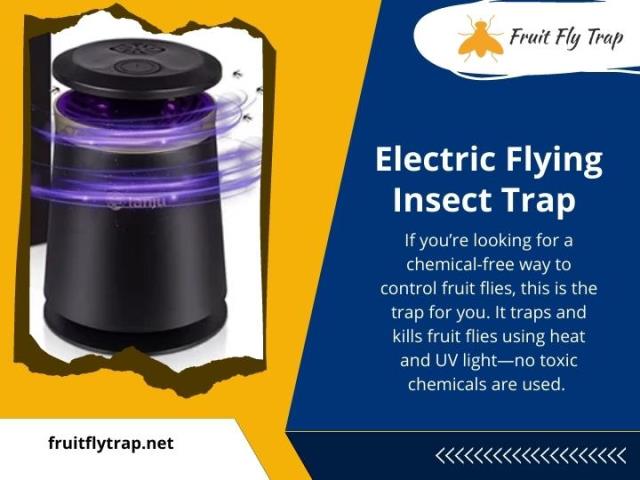 Electric_Flying_Insect_Trap.jpg