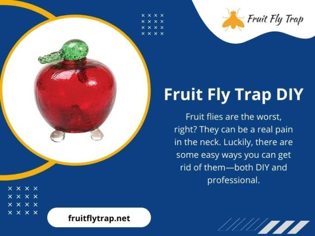 Fruit_Fly_Trap_DIY.jpg